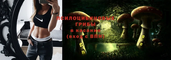 амф Алексеевка